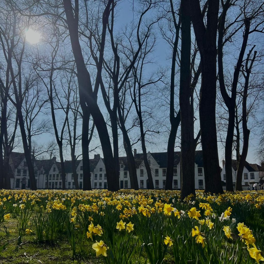 0ee4c44b-d8d6-4220-9f87-e161160ff813