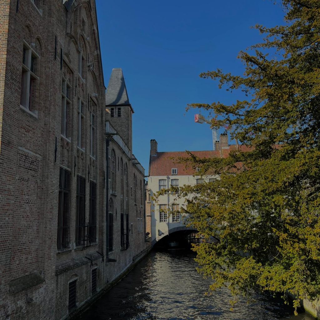 495d4e32-47a8-42c1-bec2-c77aff777b01